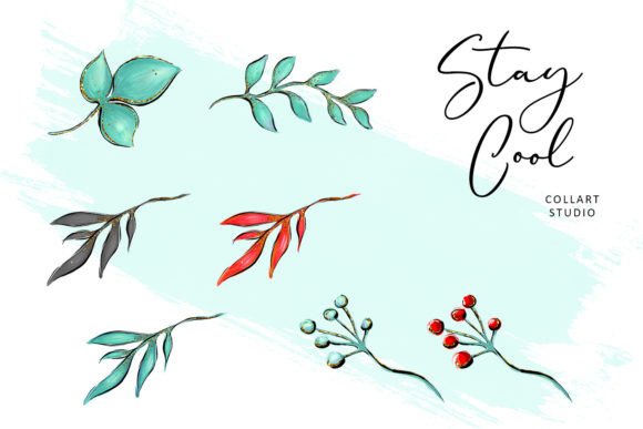 Christmas Flowers, Floral Illustrations